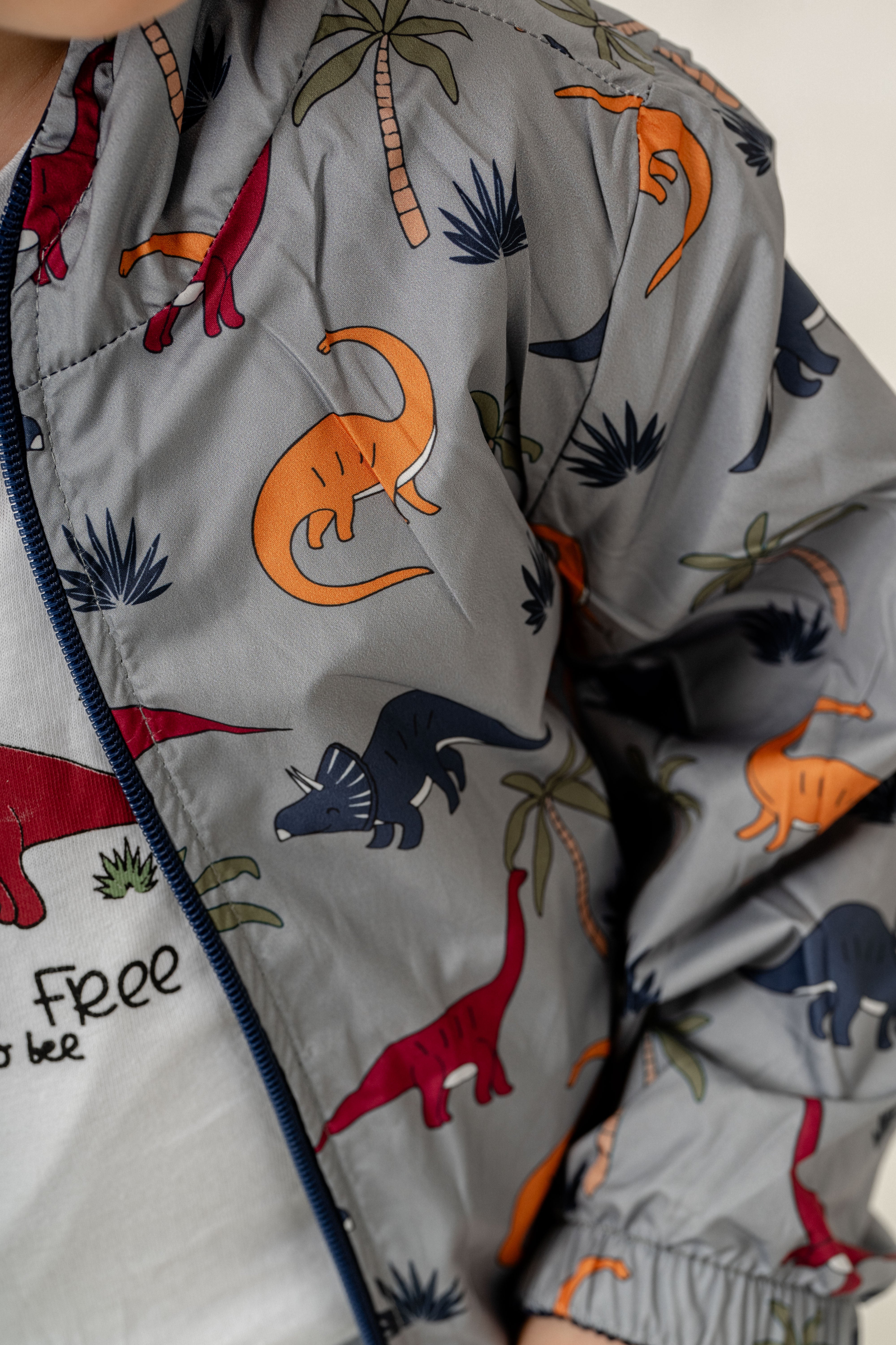 Erkek Bebek Takım Dinozor Desenli Rüzgarlık Ceket Baskılı Tişört ve Cepli Jogger Kot Pantolon Kombini 9-24 Ay
